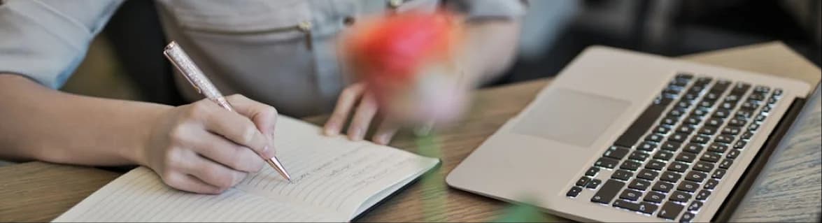 Servicios Feminacida