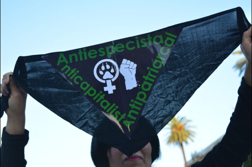 Liberación animal: una cuestión feminista