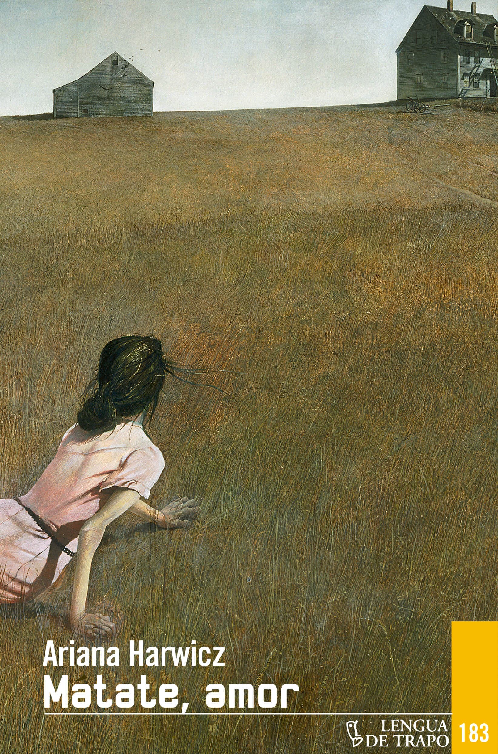 Mátate, amor: Harwicz y lo pegajoso de maternar