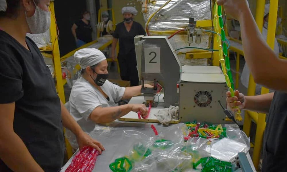 Cooperativa Mielcitas Argentinas, una recuperación feminista