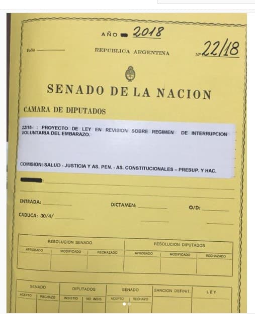 Michetti dilata el tratamiento de la Ley de IVE en Senadores