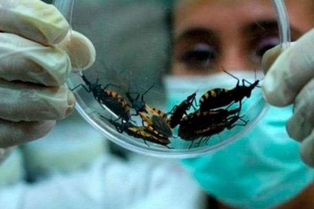 ¿De qué hablamos cuando hablamos de Chagas?
