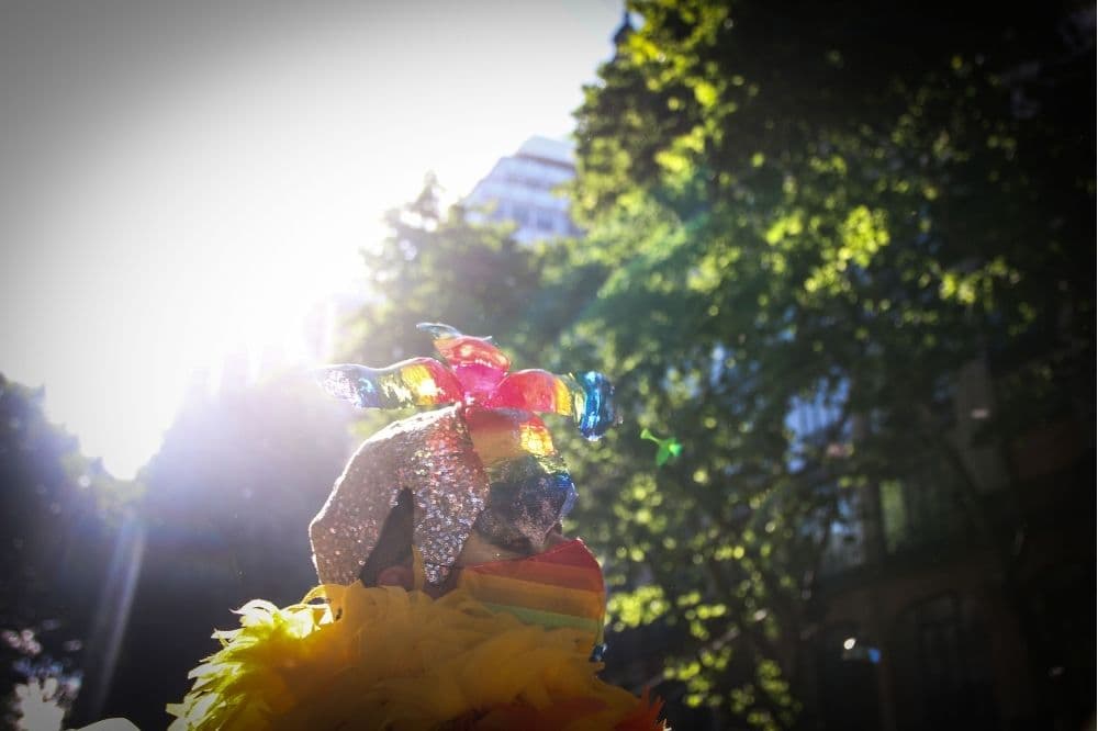 La Plata, orgullo de la provincia de Buenos Aires