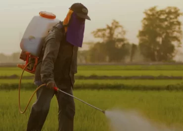 Abortos espontáneos, infertilidad y silencios: cómo impactan los agrotóxicos en la salud reproductiva