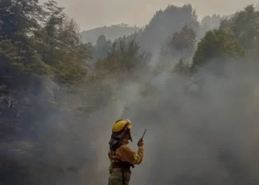Incendios en la Patagonia: las trabajadoras estatales contra el fuego