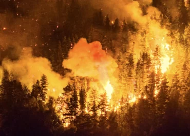 Incendios en la Patagonia: la montaña arde y la política se retira